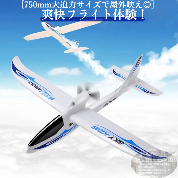飛行機 RC グライダー F959S ラジコン 2.4g 3ch gyroリモコン リモートコントロール Wltoys 初心者向け 長時間 トイヘリ 頑丈 超軽量 室外リモコン飛行機 高速 大サイズ アウトドア