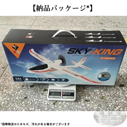 飛行機 RC グライダー F959S ラジコン 2.4g 3ch gyroリモコン リモートコントロール Wltoys 初心者向け 長時間 トイヘリ 頑丈 超軽量 室外リモコン飛行機 高速 大サイズ アウトドア