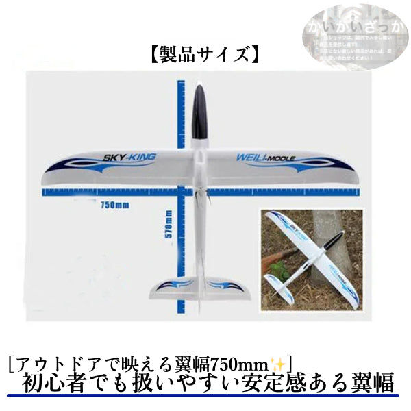 飛行機 RC グライダー F959S ラジコン 2.4g 3ch gyroリモコン リモートコントロール Wltoys 初心者向け 長時間 トイヘリ 頑丈 超軽量 室外リモコン飛行機 高速 大サイズ アウトドア
