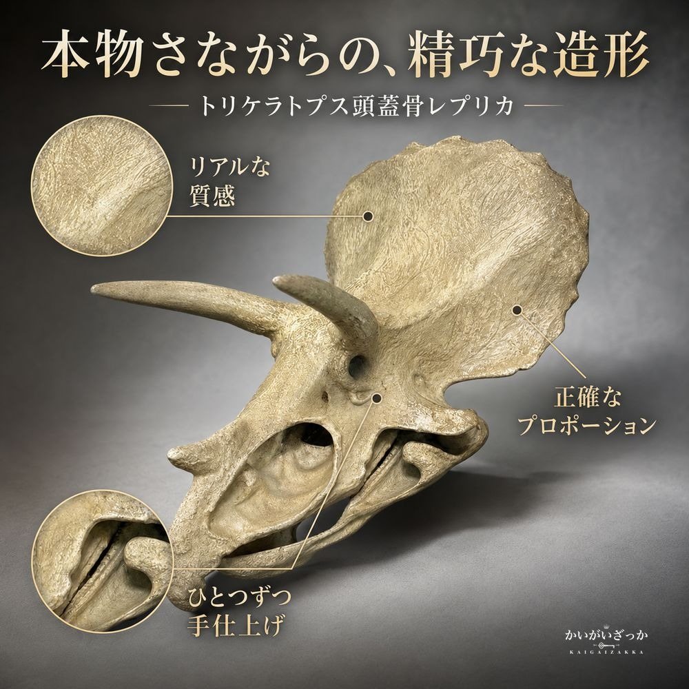 トリケラトプス 頭蓋骨 レプリカ 壁掛け 恐竜 化石 風 オブジェ 樹脂製 リアル造形 博物館風 ウォールデコ 立体 インテリア 書斎 リビング 店舗 ディスプレイ コレクション 誕生日 プレゼント