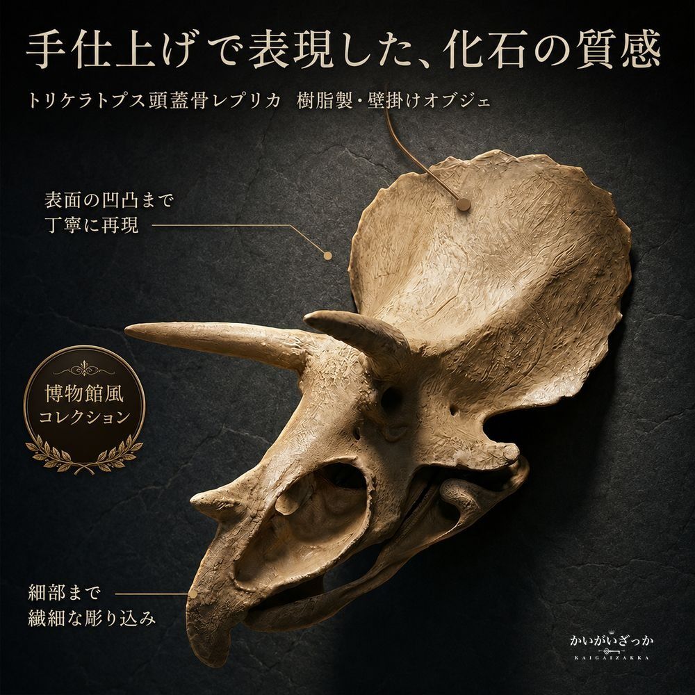 トリケラトプス 頭蓋骨 レプリカ 壁掛け 恐竜 化石 風 オブジェ 樹脂製 リアル造形 博物館風 ウォールデコ 立体 インテリア 書斎 リビング 店舗 ディスプレイ コレクション 誕生日 プレゼント