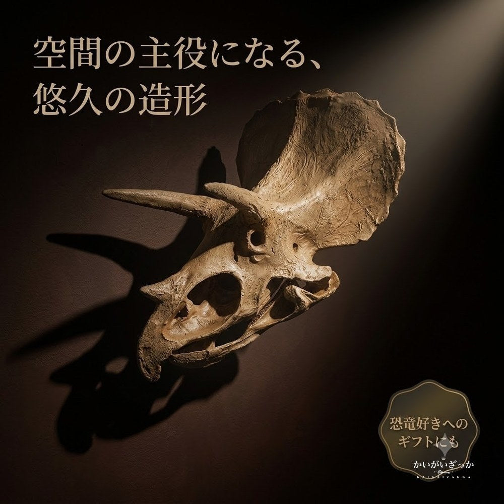 トリケラトプス 頭蓋骨 レプリカ 壁掛け 恐竜 化石 風 オブジェ 樹脂製 リアル造形 博物館風 ウォールデコ 立体 インテリア 書斎 リビング 店舗 ディスプレイ コレクション 誕生日 プレゼント