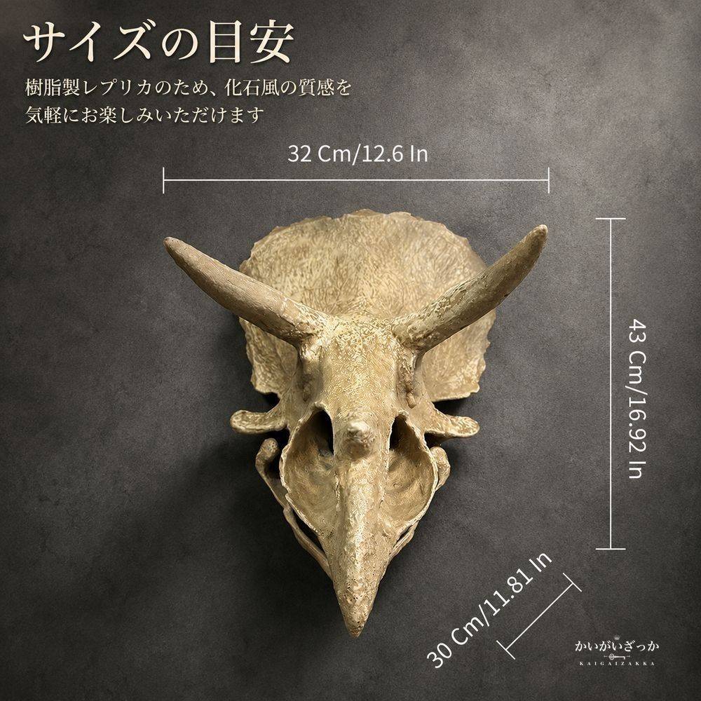 トリケラトプス 頭蓋骨 レプリカ 壁掛け 恐竜 化石 風 オブジェ 樹脂製 リアル造形 博物館風 ウォールデコ 立体 インテリア 書斎 リビング 店舗 ディスプレイ コレクション 誕生日 プレゼント