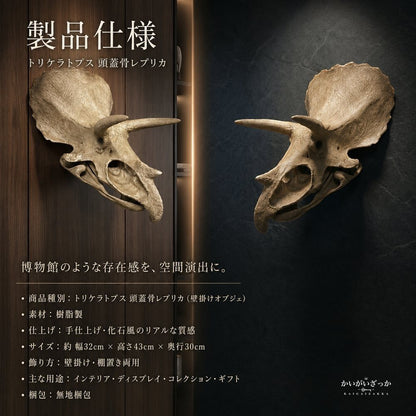 トリケラトプス 頭蓋骨 レプリカ 壁掛け 恐竜 化石 風 オブジェ 樹脂製 リアル造形 博物館風 ウォールデコ 立体 インテリア 書斎 リビング 店舗 ディスプレイ コレクション 誕生日 プレゼント