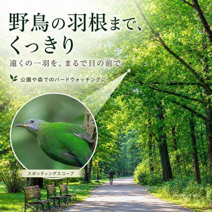 スポッティングスコープ 望遠鏡 25-75倍 100mm 単眼鏡 高倍率 三脚付 スマホアダプター FMC HD 野鳥観察 バードウォッチング 天体観測 アウトドア 高解像度 ズーム 大口径 スコープ