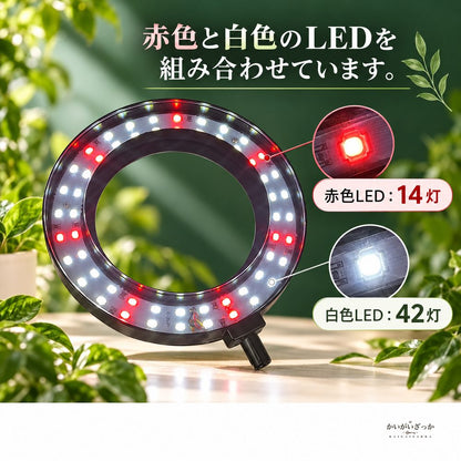 スタンド式植物育成LEDライト 赤白56灯 フルスペクトル 高さ調節 フレキシブルネック 5段階調光 4段階タイマー 室内観葉植物用リング型ライト